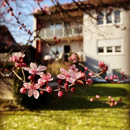 Ferienwohnung Im Aalbachtal - Uettingen Bei Wuerzburg Экстерьер фото